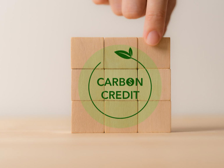 Carbon Credits: Understanding the Market, Trading Mechanisms, and Investment Opportunities